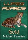 Lupe's Gold Award
